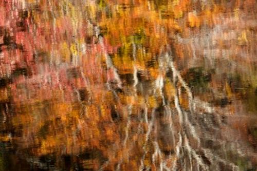 Fort Payne;Patterns;Little River Canyon National Preserve;Brown;Water;Reflection;Abstract;trees;Alabama;Fall;Little River;Autumn;Orange;Reflections;Yellow;Tan;Red